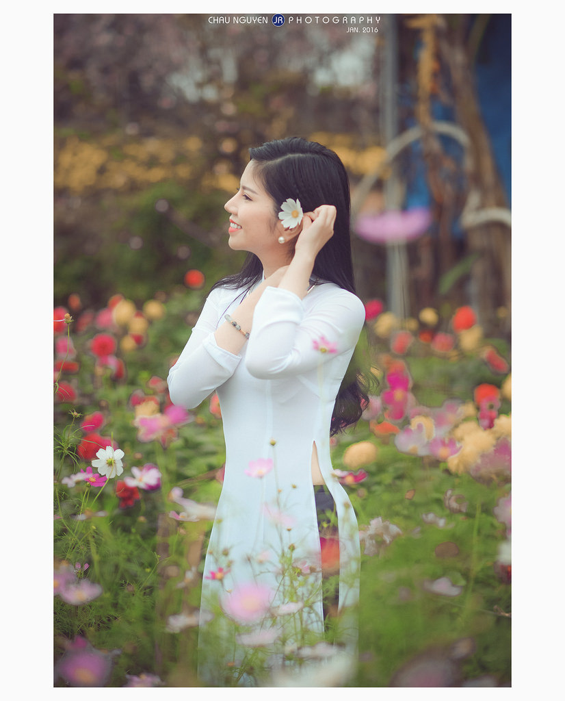 灰姑娘情结电视剧免费观看